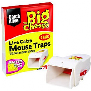 Big Cheese Live Mouse Traps
